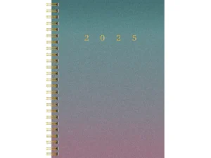 RIDOIDE Agenda Fashion Gradient